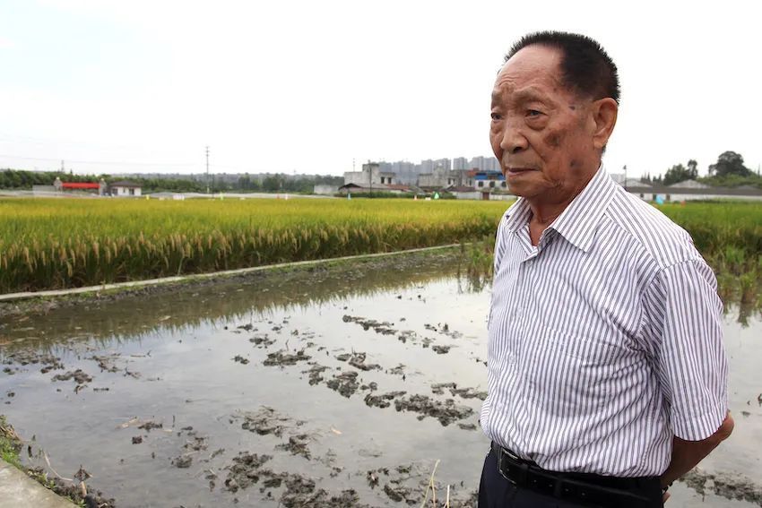 鍾南山袁隆平同臺視頻火了網友致敬醫食無憂組合