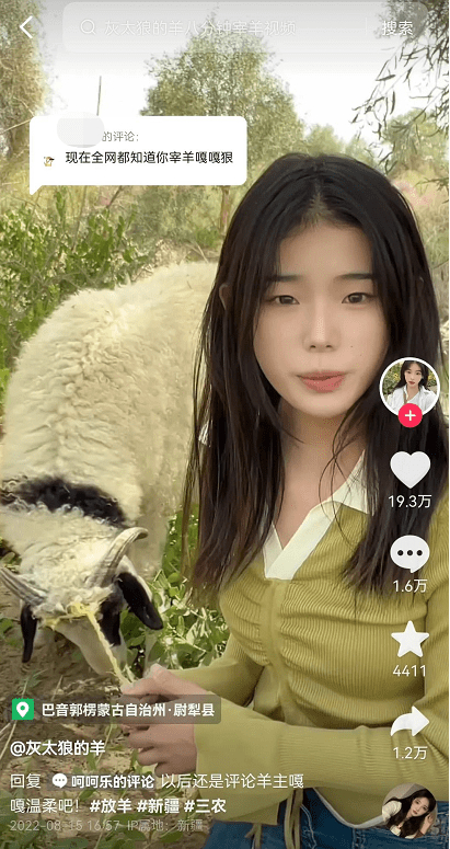 山东00后女孩新疆牧羊涨粉百万：8分钟宰一只羊，一包干脆面就能召唤羊群 