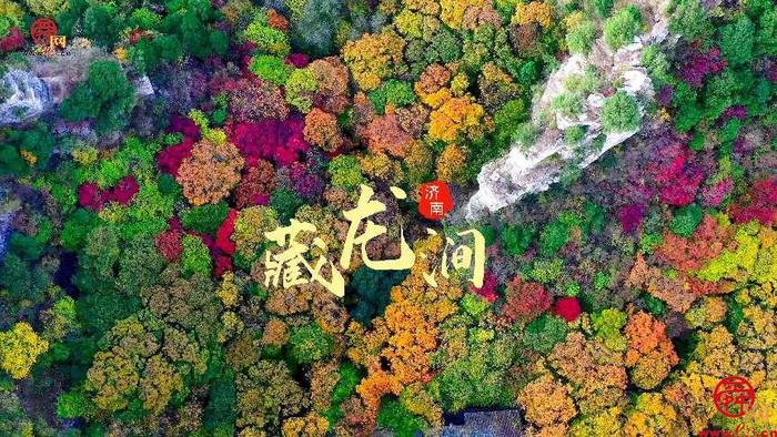 舜视频