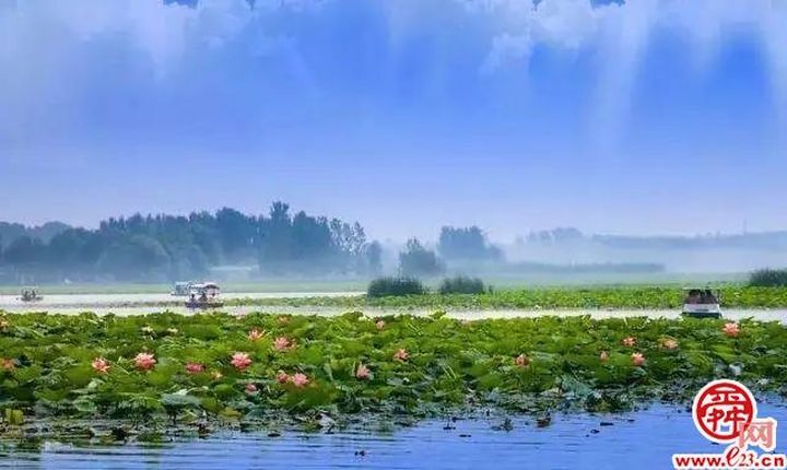 【水乡白云】“荷”你相约！！2022年白云湖生态文化旅游节即将开启！