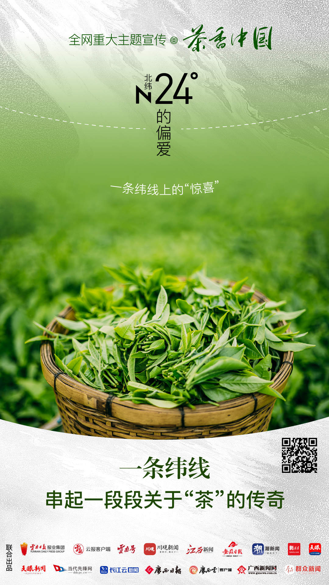 云南和福建联动讲述一条纬线上的惊喜丨茶香中国61北纬24度的偏爱②