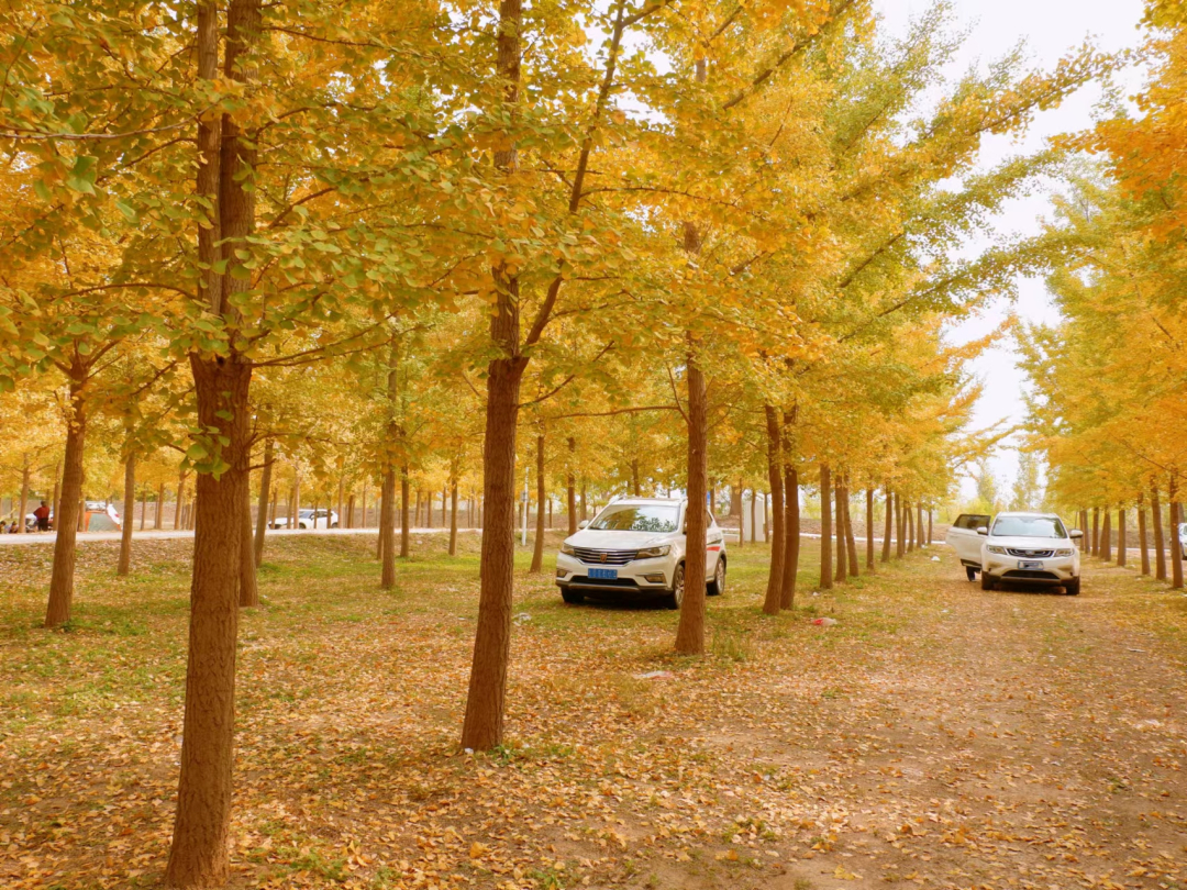 ��������֮·����������������ֹ���ͨ���ѿ���