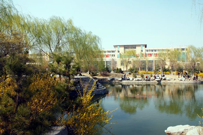 你好我叫山东现代学院这是我的简历nbsp梦想开始的