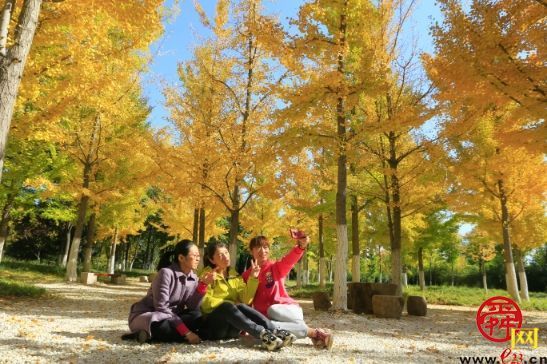 赏秋好去处，济南植物园风景千万不要错过